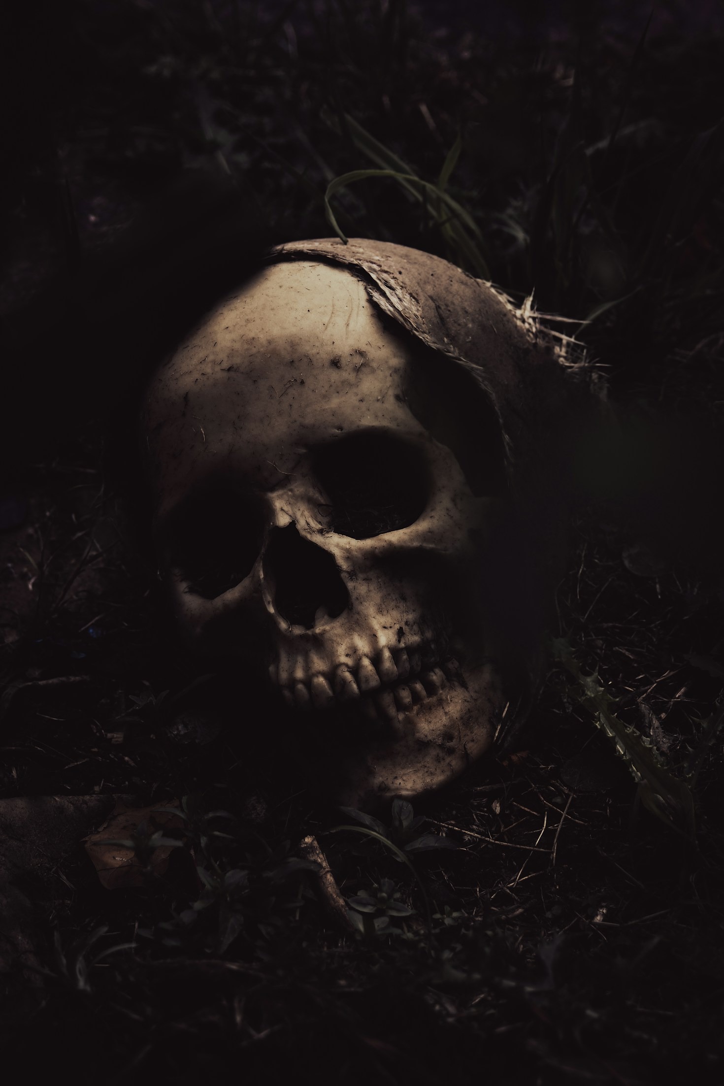 How Nightmares Fuel the Creative Process
